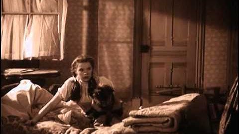 TOOL Sync. Wizard of Oz