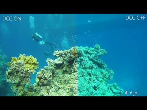 2 Minute Run-down of the Paralenz Dive Camera