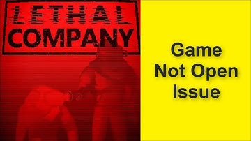 How to Fix Lethal Company Game Not Open Issue 2025