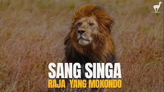 Download Lagu Singa: Raja Sabana yang Mokondo, Bergantung Kepada Istri MP3