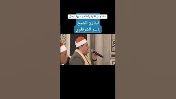 تلاوة من سورة النحل روعه القارئ الشيخ ياسر الشرقاوي #تلاوة_خاشعة #ترند #الشرقاوي
