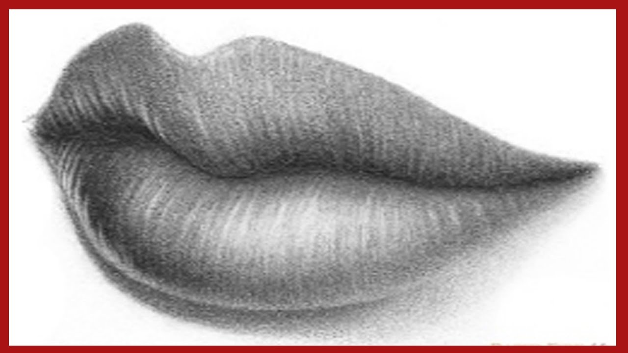 premium homework perfect lips