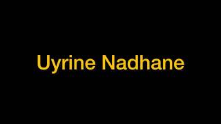 Uyirin Nadhane karaoke 🎤