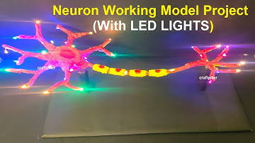 neuron working model (3d) science project - using led lights - diy - simple and easy | craftpiller