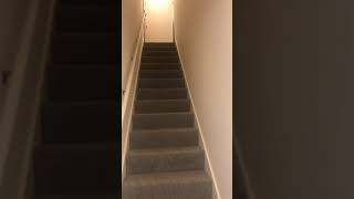 ONE333 | PENTHOUSE 09   2BD/2BA + DEN