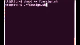 Using File Descriptors - English