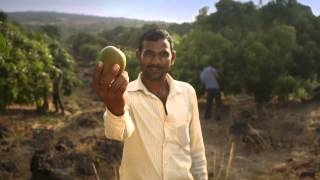 Innocent Mango Ad 2015