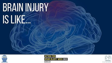 The Analogies of Brain Injury