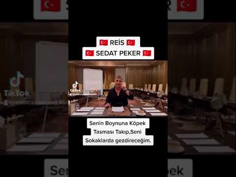 sedat pekerin süleyman