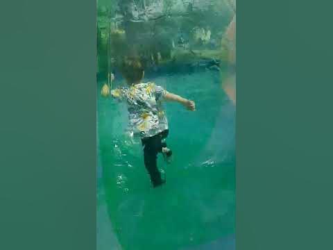 В шаре - YouTube