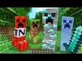 Minecraft, BUT EVERY BLOCK CAN BE A CREEPER..