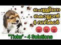 ചെള്ളിനെ കളയാൻ വഴികൾ : 4 ticks solutions : Kerala dog training : വളര്‍ത്തു നായയെ പരിശീലിപ്പിക്കാം