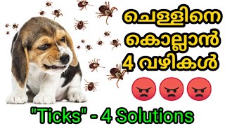 ചെള്ളിനെ കളയാൻ വഴികൾ : 4 ticks solutions : Kerala dog training : വളര്‍ത്തു നായയെ പരിശീലിപ്പിക്കാം