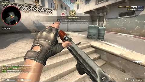 CS:GO- Casual with Expert Bots 1