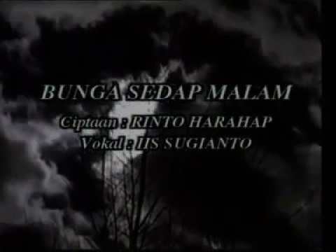  Bunga  Sedap  Malam  Iis  Sugianto  lirik  karaoke YouTube