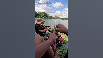 Câu LURE dạo #lkhoà #câulure #caulurecaloc