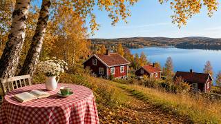 a playlist for a quiet morning 🍂 soft piano music for peaceful autumn days | reading & studying screenshot 5