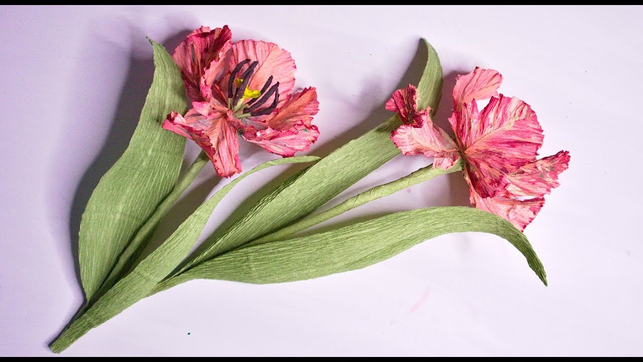 WOW EASY How to make Parrot Tulip  from crepe paper crepe paper tulip