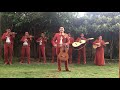 Mariachi Nealtiquense Serenata Huasteca