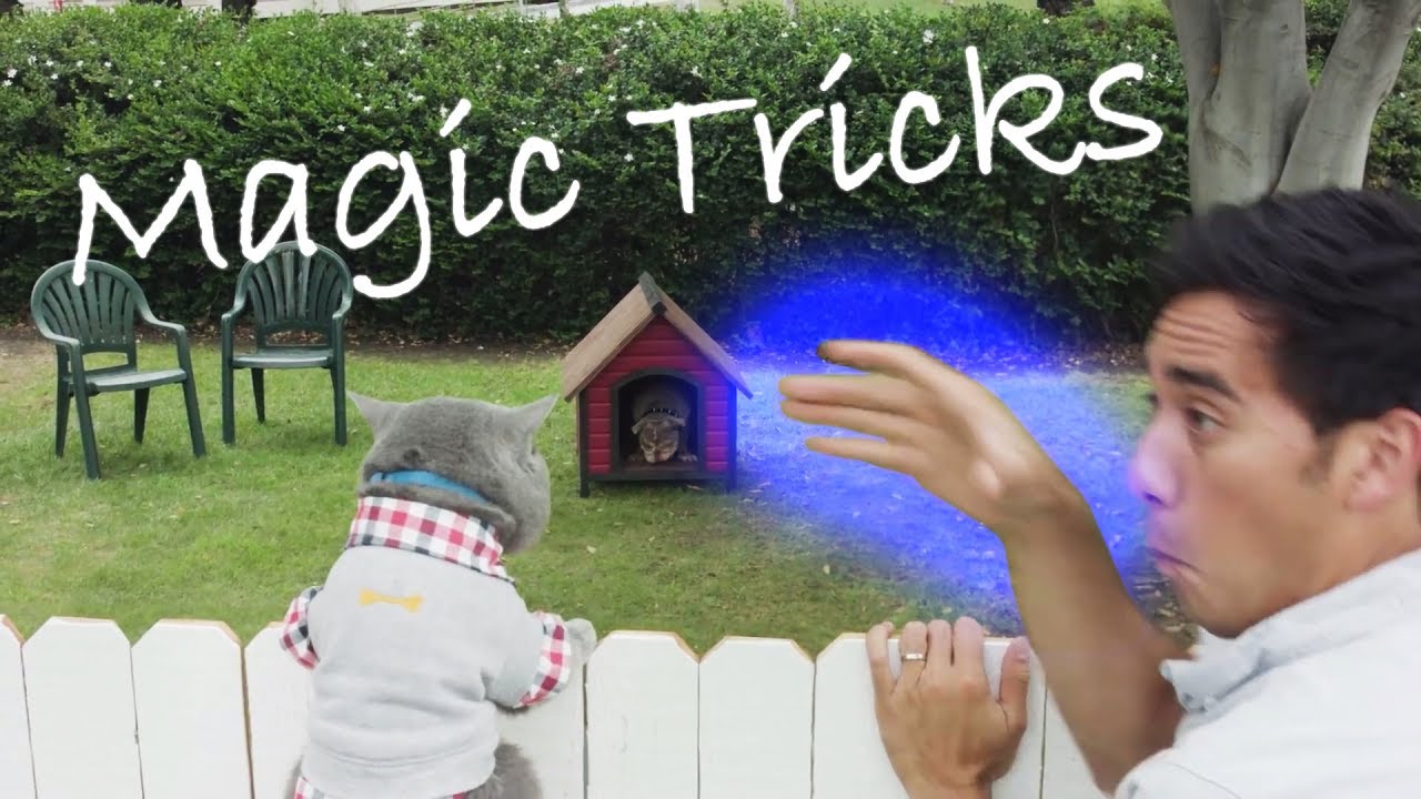 magic trick vine