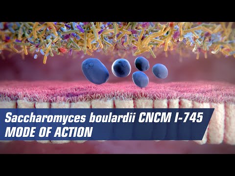 Mode of action of Saccharomyces boulardii CNCM