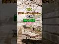 💡 70代のほとんどが知らない人生の隠れた知恵 TOP3 ✨