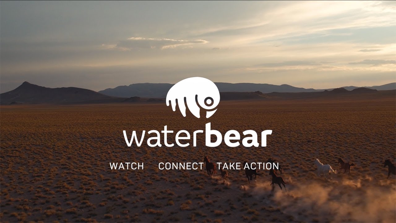 WaterBear Network Launch Video - YouTube