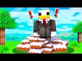 DIVENTO GRASSO SU MINECRAFT