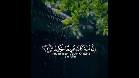 تلاوه خاشعه | بصوت القارئ سالم الرويلي | حالات واتس اب دينيه♥♥.