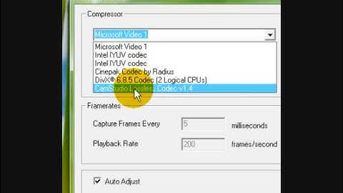 How to activate Lossless codec on cam studio