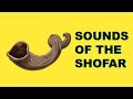 Shofar:  Sound of the Shofar - Amazing Shofar Blast -  Trump - High Quality -