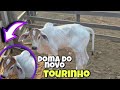 DOMA DO NOVO TOURINHO!