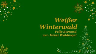 Weißer Winterwald - Akkordeon Harmonists