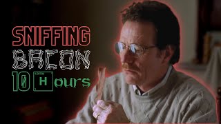 Walter White Is Sniffing Bacon 10 Hours