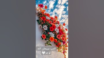 قل أعوذ برب الناس ملك الناس 🥺🌼/سورة الناس #قرآن #اكسبلور #لايك #ترند #تلاوة_خاشعة