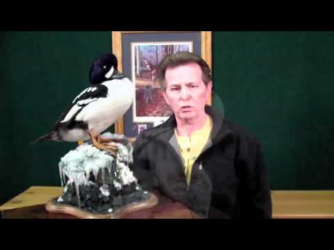 artificial neural network Waterfowl Habitat Base