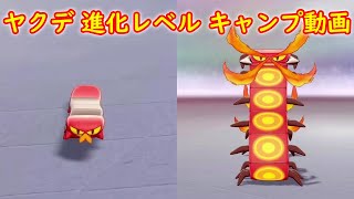 ヤクデ マルヤクデ 進化レベル 攻略 キャンプで遊ぶ ポケモン ソード シールド ポケモン剣盾 Youtube