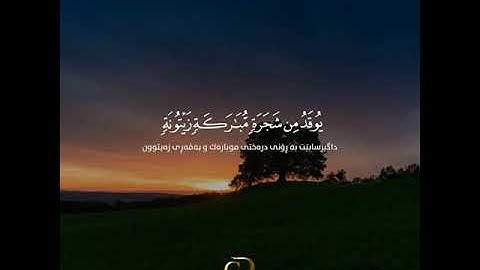الله نور السماوات والأرض ,,, د.ماهر المعيقلي [تلاوة خاشعة فوق الجمال]