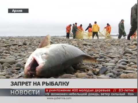 Запрет на рыбалку на спиннинг в 2017 году могли использовать