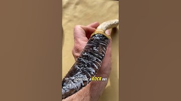 Nature’s Impossible knife 🔪 . #shorts #1amcuriosity