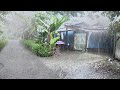 Pluie Vent Très Fort Bruit Blanc éclat De Grand Tonnerre Forte Pluie Sommeil Très Réparateur mp3