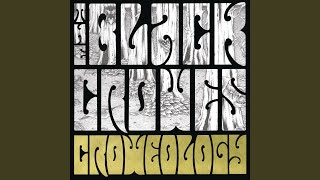 Video thumbnail of "The Black Crowes - Jealous Again"