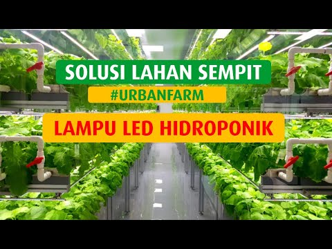 UNBOXING GROW LIGHT | Lampu Pengganti Sinar Matahari untuk Tumbuhan. 