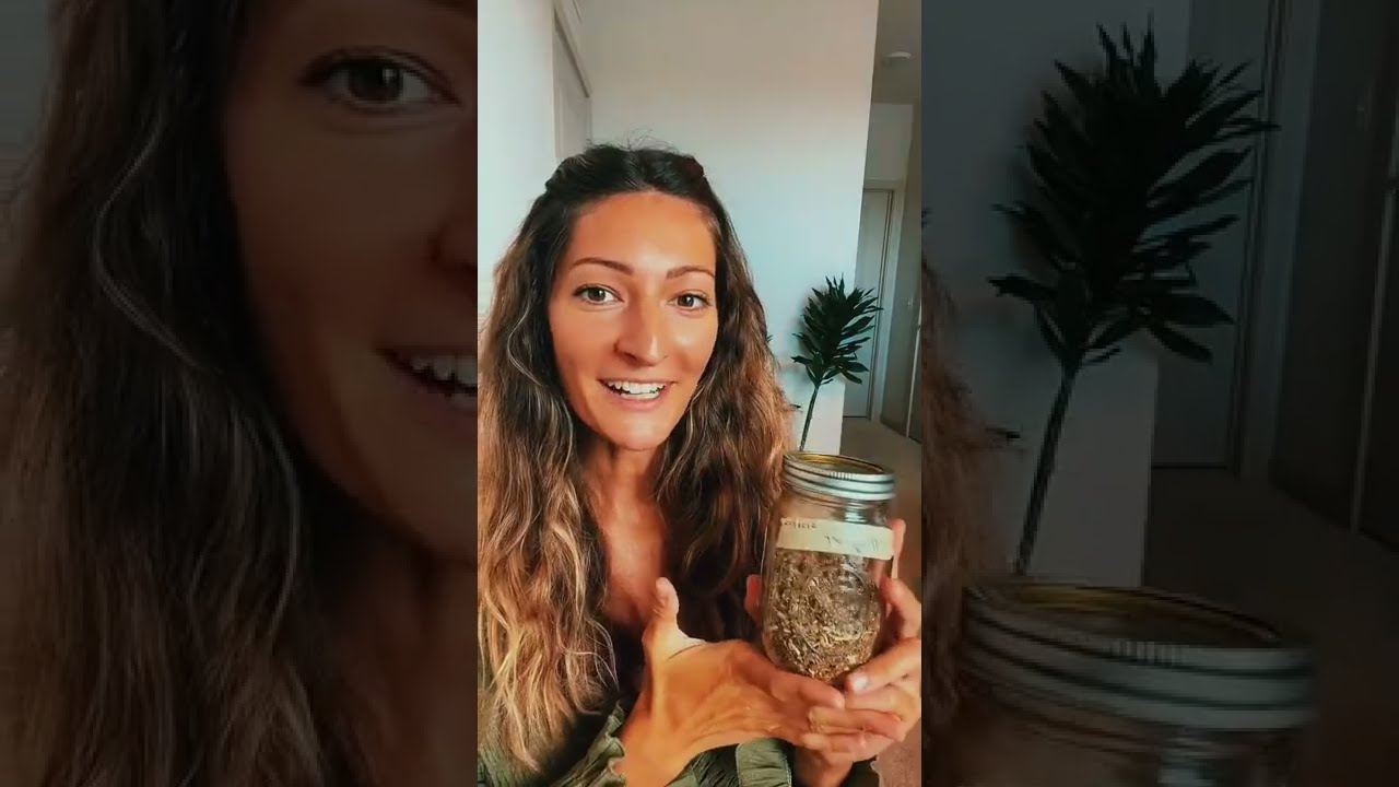 Herbs to Know: Mugwort (It's Not Just for Lucid Dreaming)