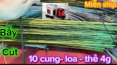 Chọn bộ bẫy chim cút rừng hiệu quả nhất giá rẻ. 10 cung + loa + thẻ 4g Ship hàng toàn quốc