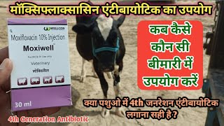Moxifloxacin Antibiotic Use in Cattle || Moxiwell का उपयोग पशुओं की कौन सी बीमारी में कैसे करें !