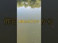 2023.5.3バタバタで時間がないなか！宇治川ブラックバス釣り！#fishing #ルアーフィッシング