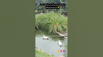 لا تتغافل أو تترك أذكار الصباح والمساء 👂👂#صلوا_على_النبي #اكسبلور