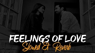 Feelings Of Love Jukebox 2024 | Arijit Singh Songs | Slowed & Reverb | Jukebox | SR Lofi Vibes