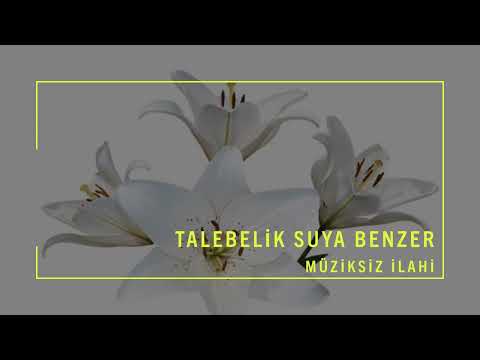 Talebelik Suya Benzer